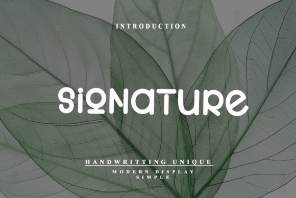 Signature Font: Where Geometric Curves Meet Modern Branding